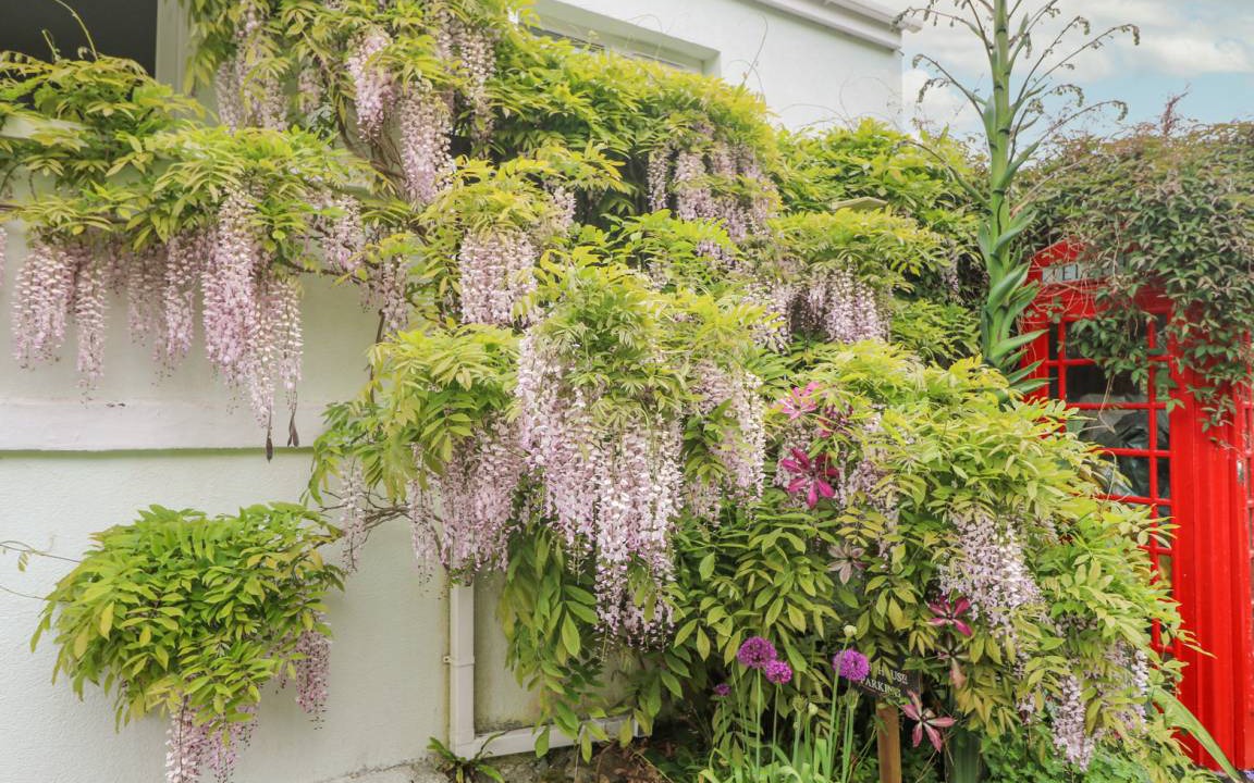 Photo of Others in Praa Sands