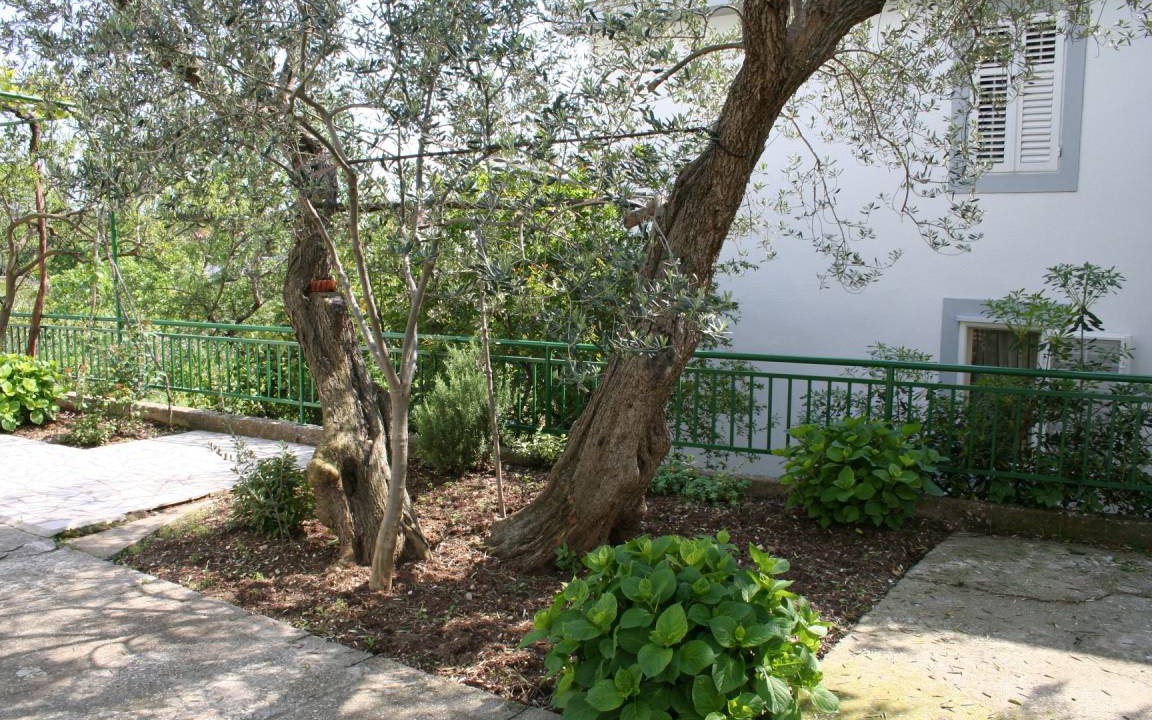 Photo of Others in Gradac