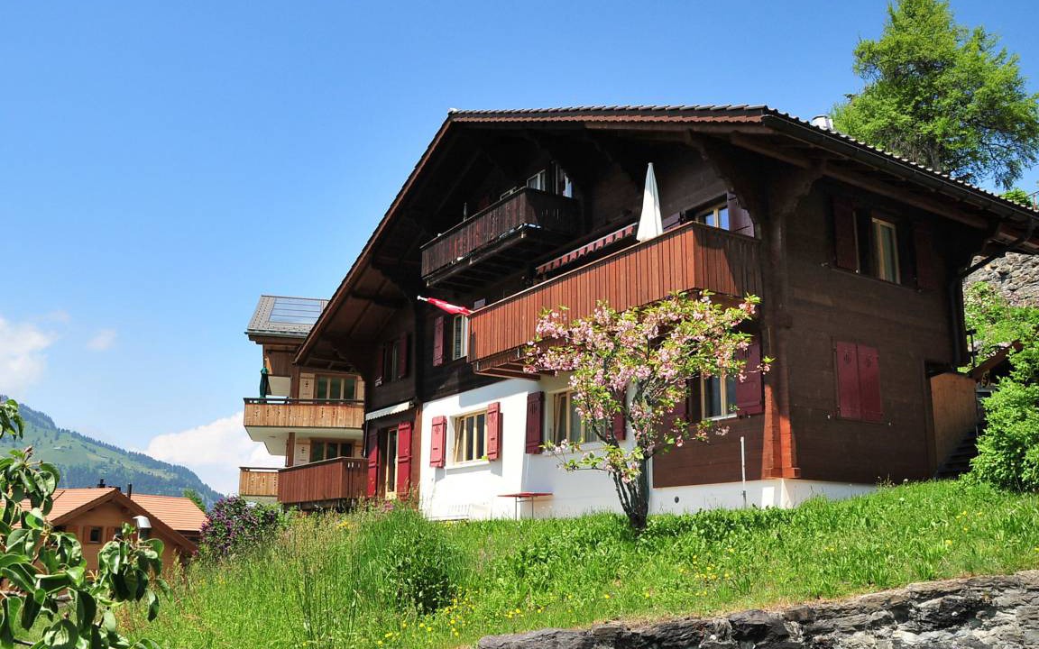 Photo of Others in Wengen