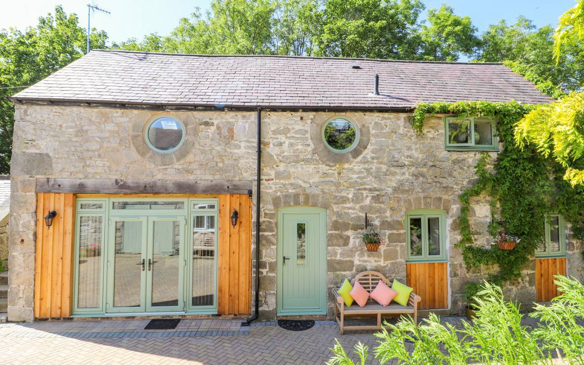 Photo of Others in Mold