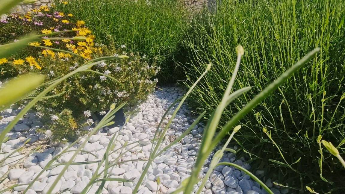 Photo of Outdoor in Rogoznica
