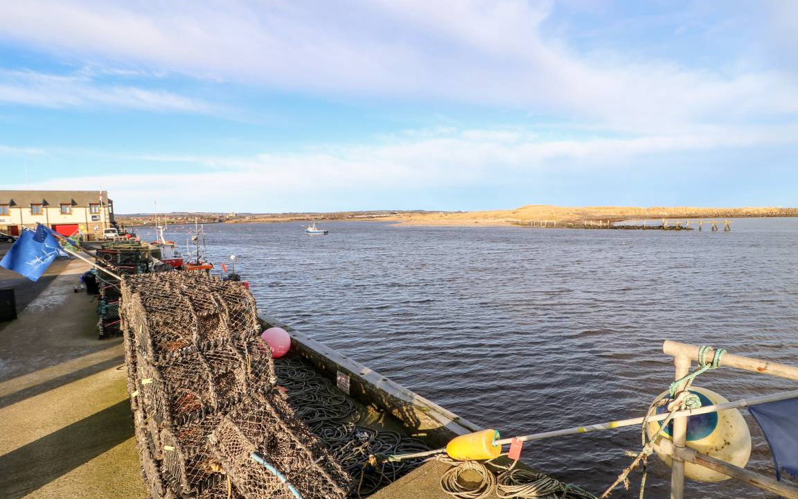 Photo of Others in Amble