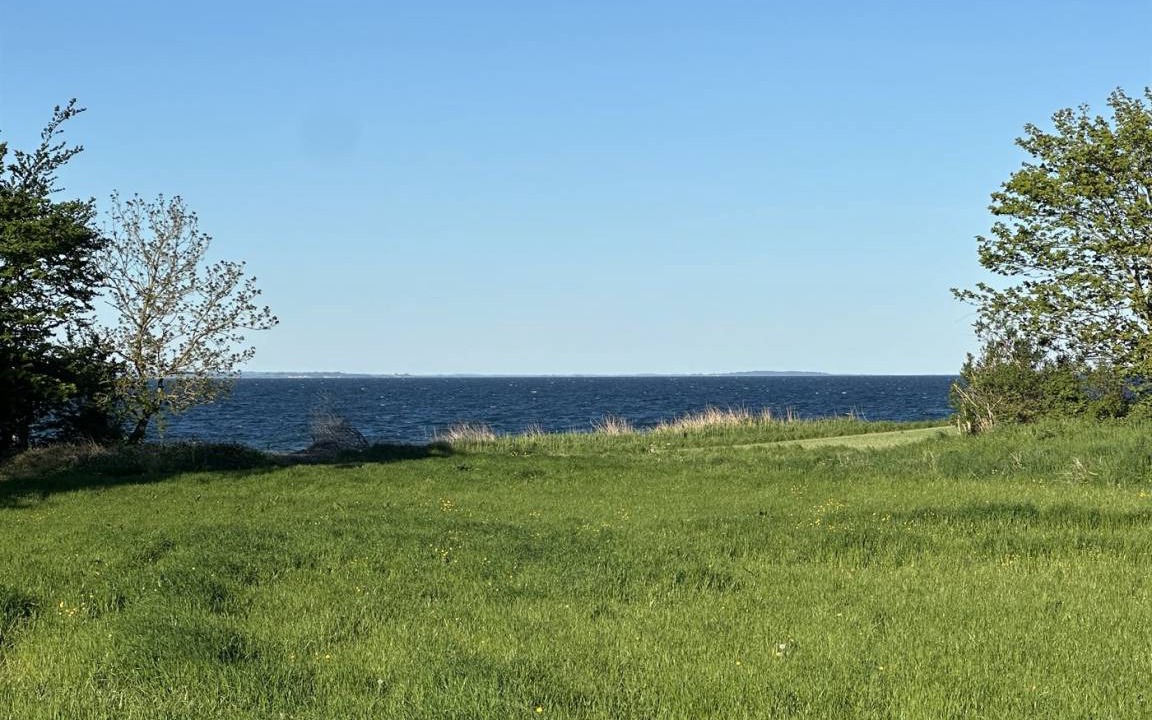 Photo of Others in Kettingskov