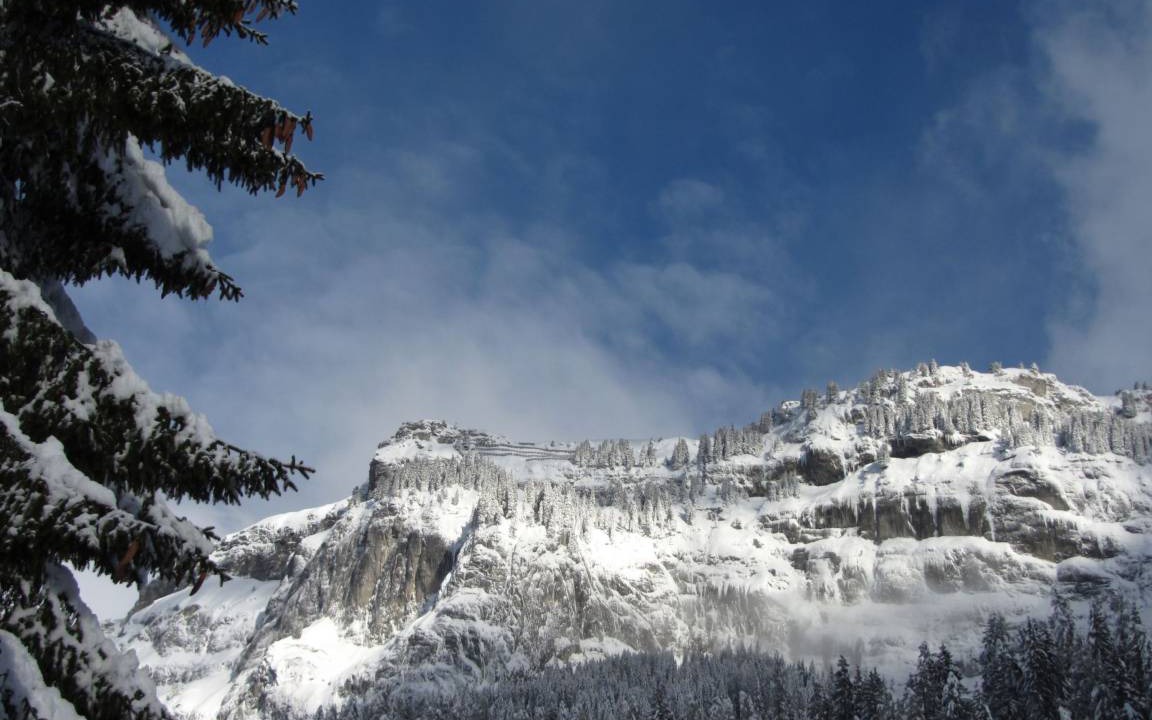 Photo of Others in Flims