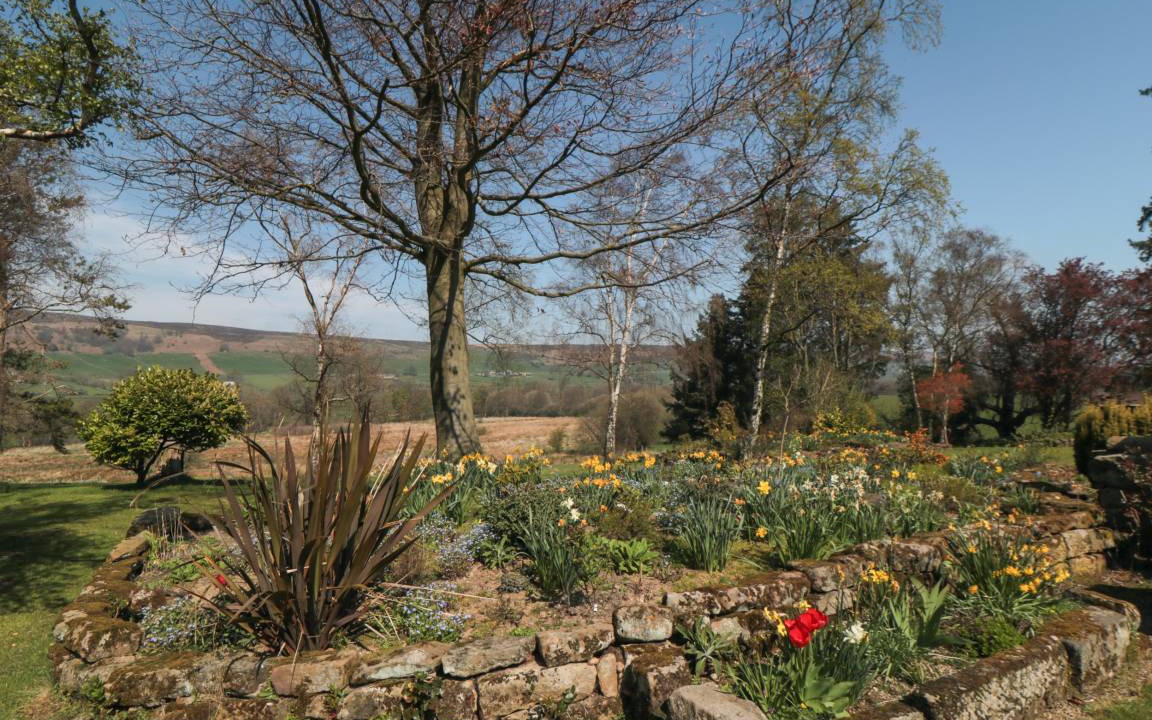 Photo of Others in Great Fryup Dale