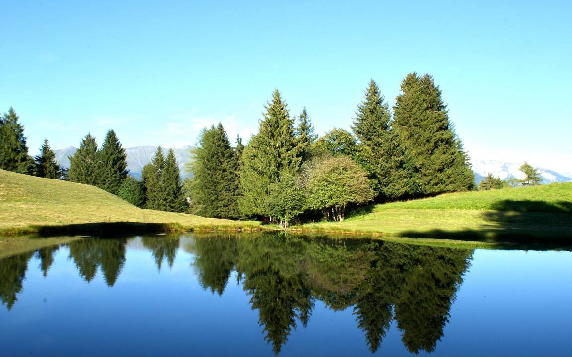 Photo of Others in Oberurmein