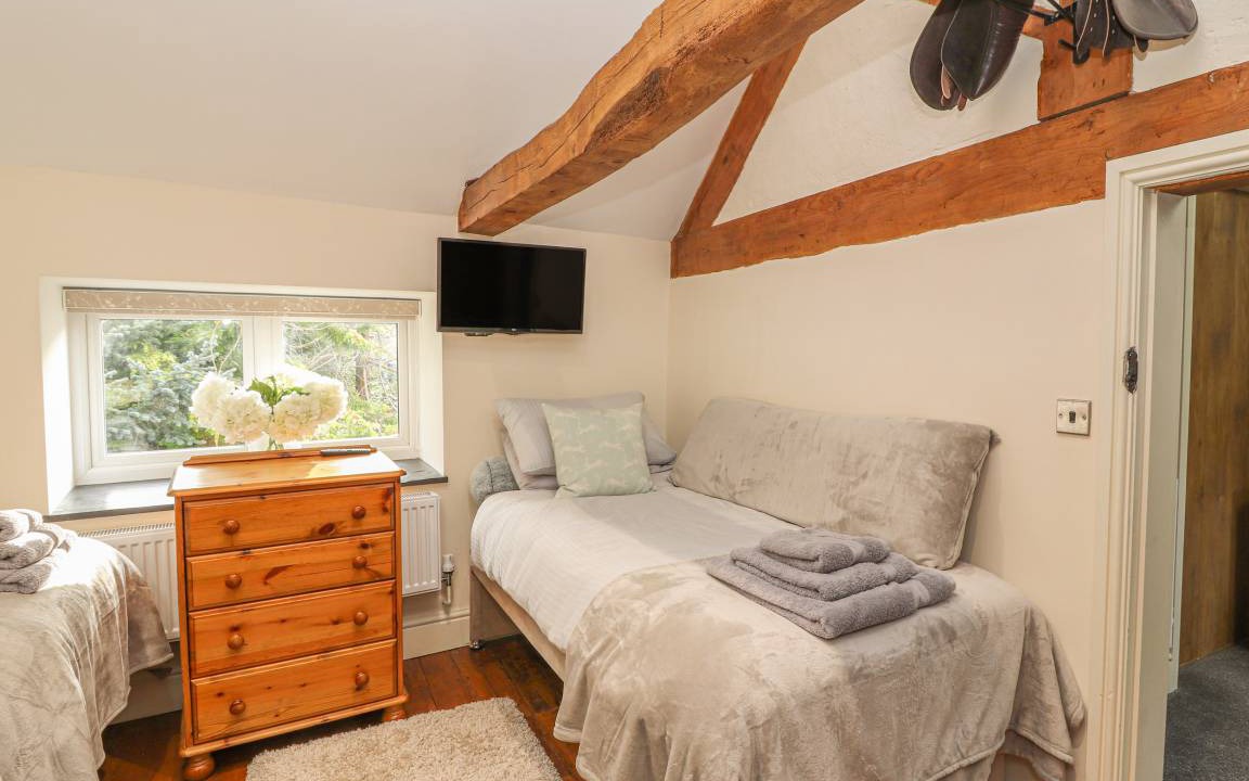 Photo of Others in Mold