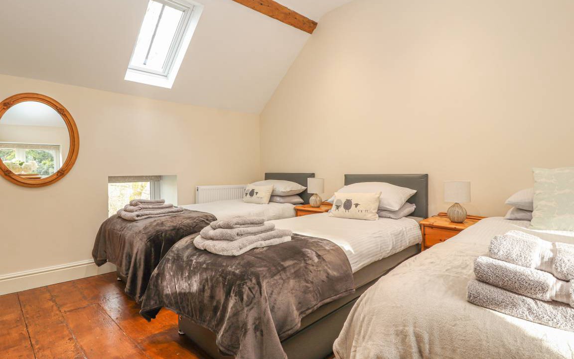 Photo of Others in Mold