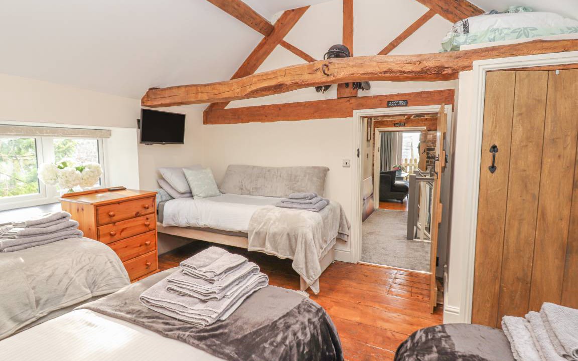 Photo of Others in Mold