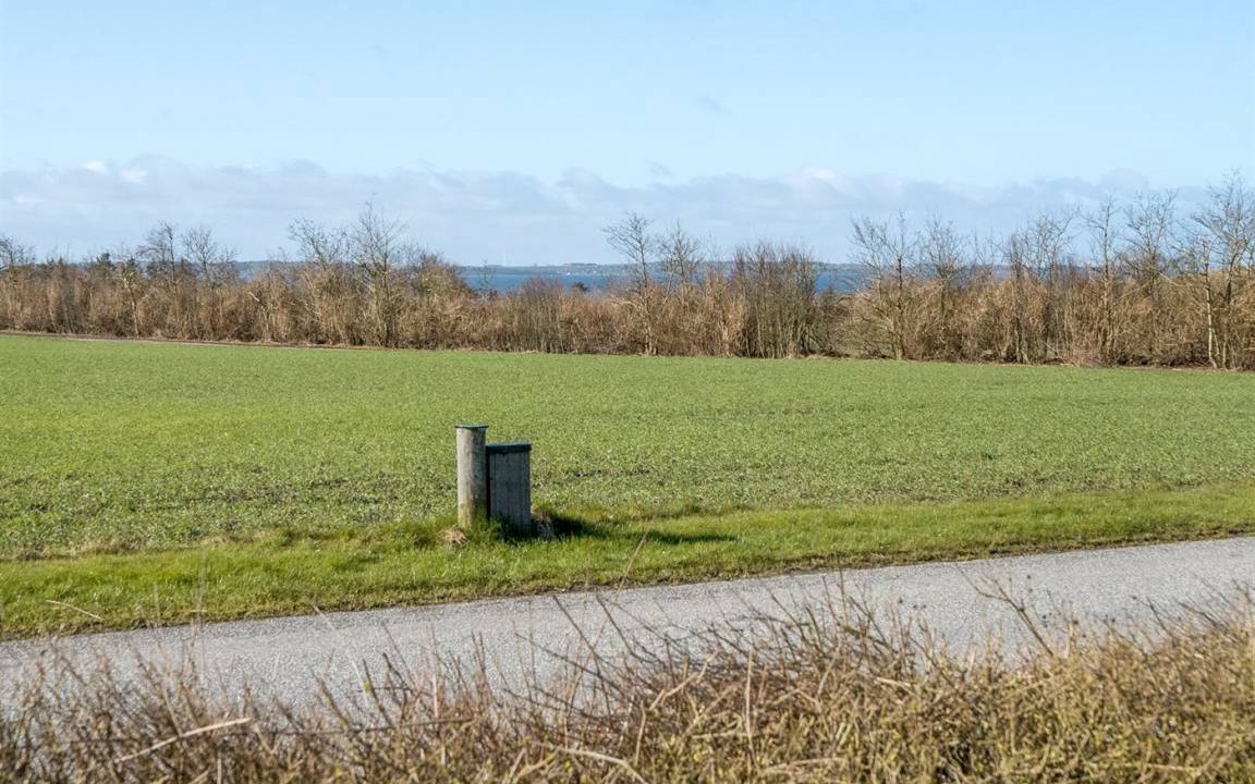 Photo of Others in Ertebølle