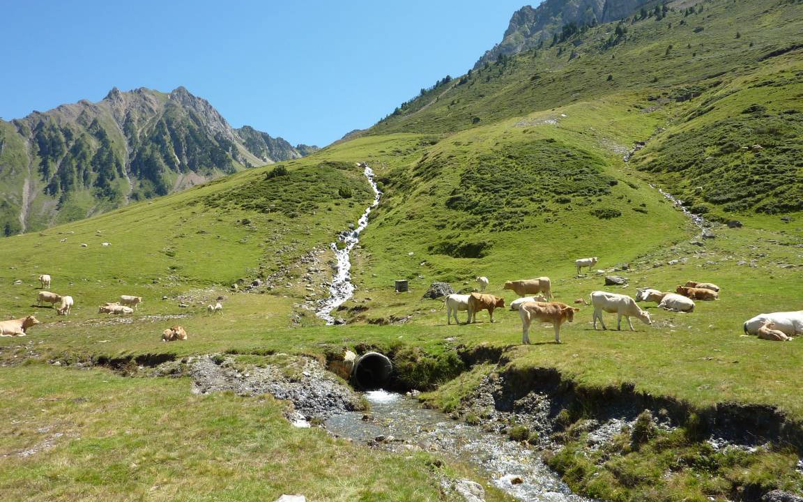Photo of Others in La Mongie