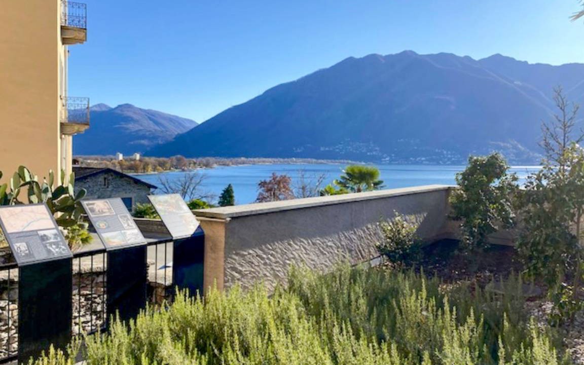 Photo of Others in Minusio