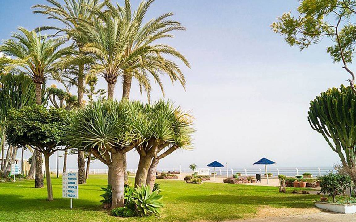 Photo of Others in Torremolinos