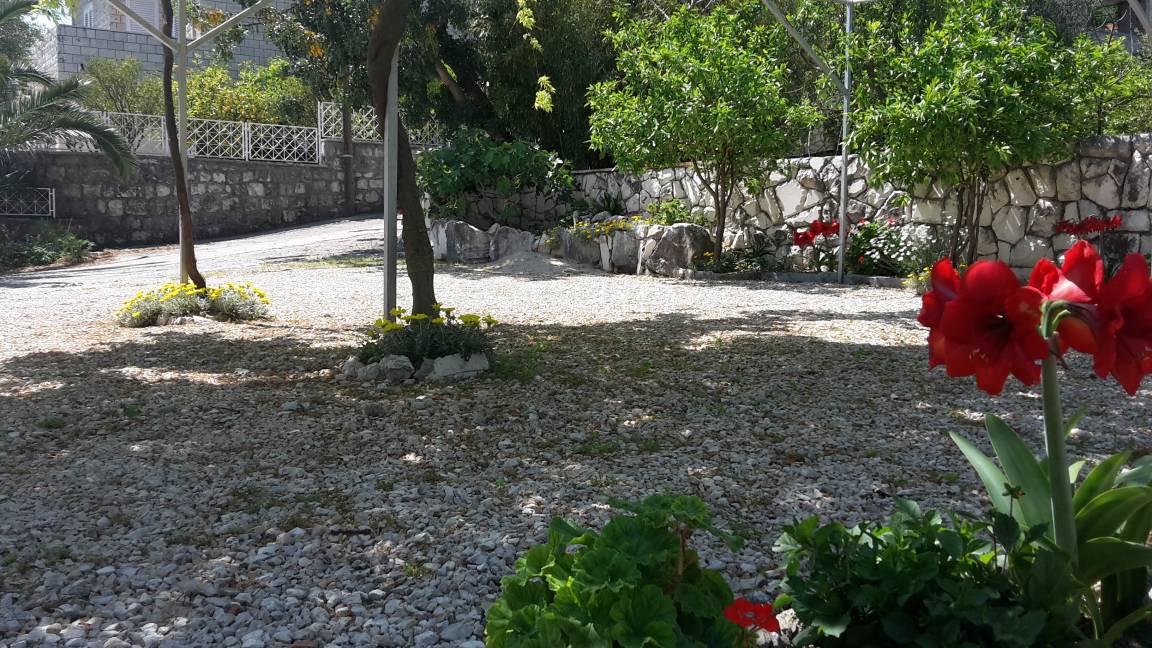 Photo of Others in Slano