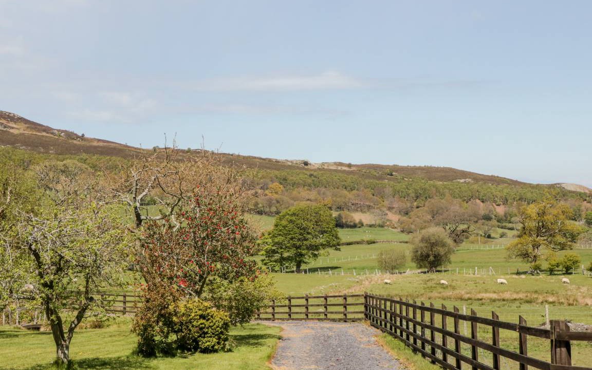 Photo of Others in Henryd