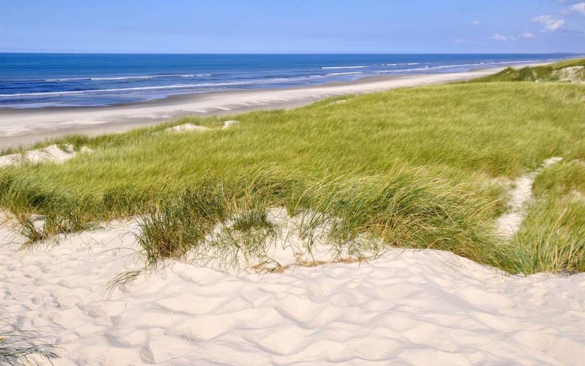 Photo of Others in Grærup Strand