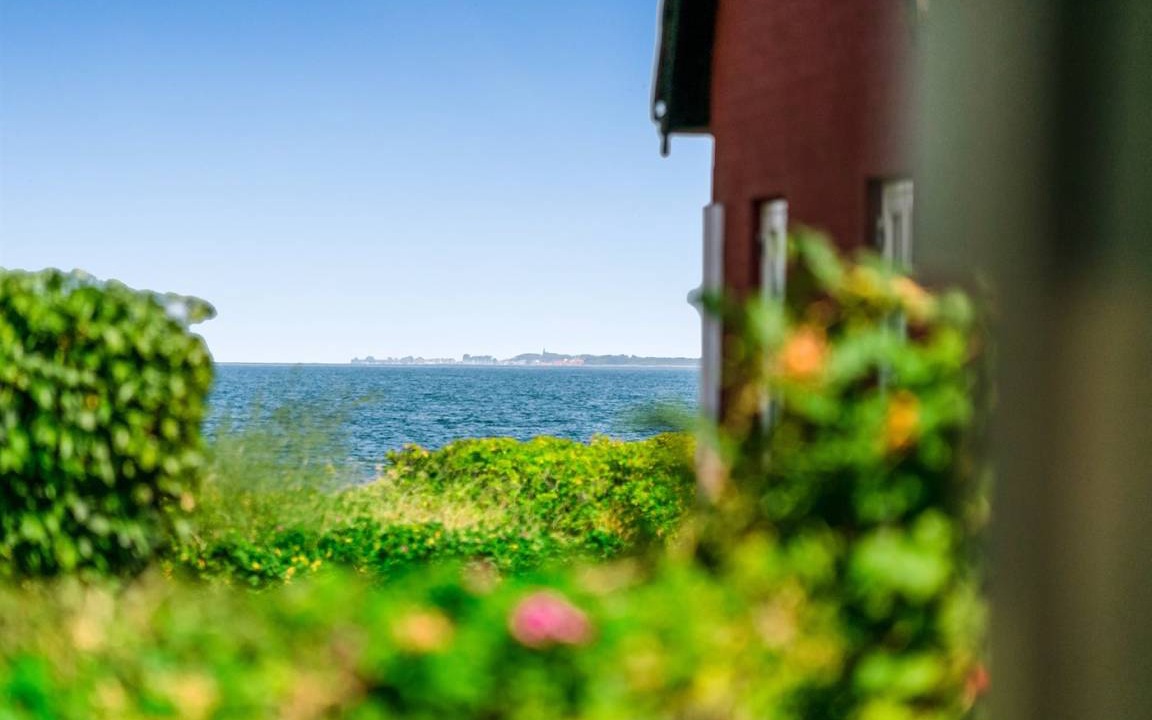 Photo of Others in Vejlby Fed