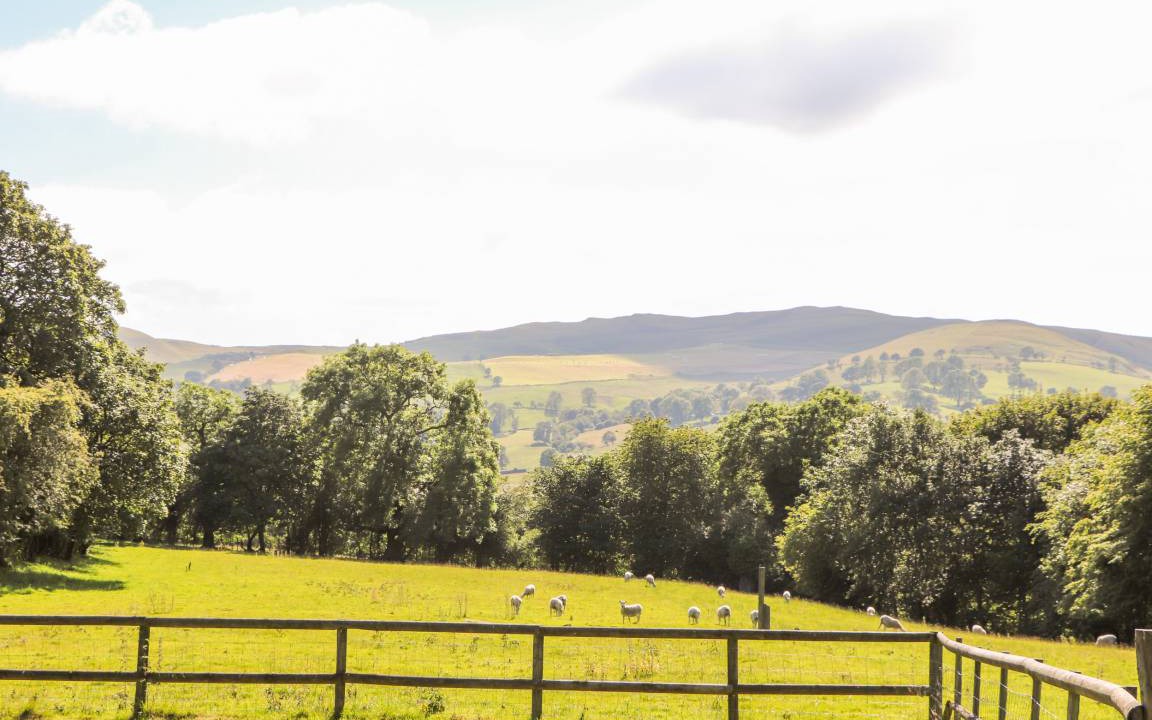 Photo of Others in Mold