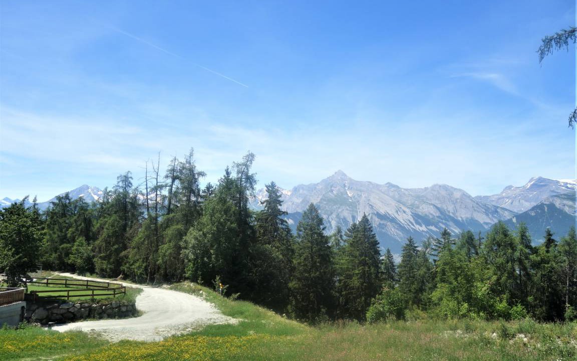 Photo of Others in Veysonnaz