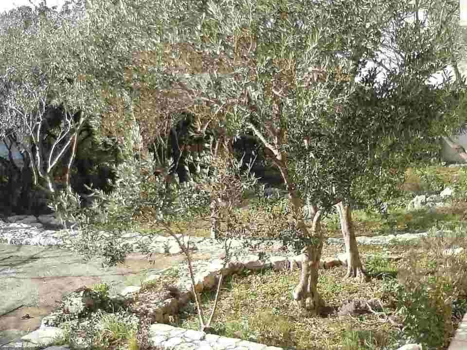 Photo of Others in Cres