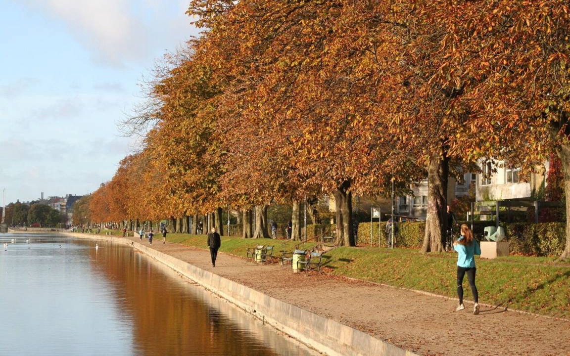 Photo of Others in Christianshavn