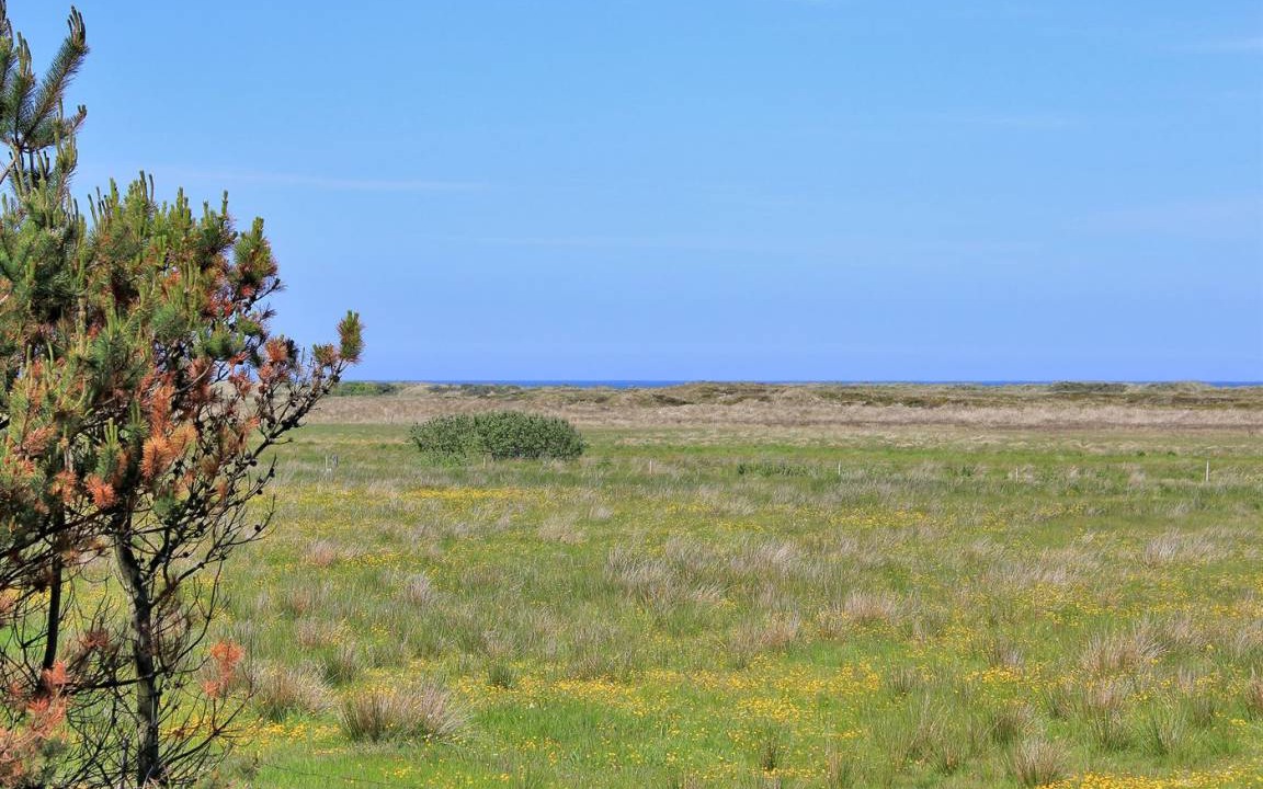 Photo of Others in Torup Strand