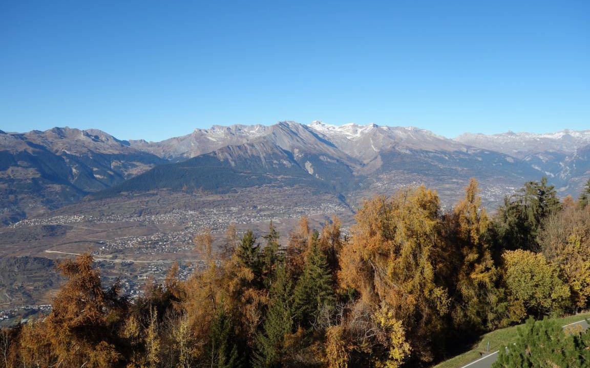 Photo of Others in Les Mayens-de-Sion