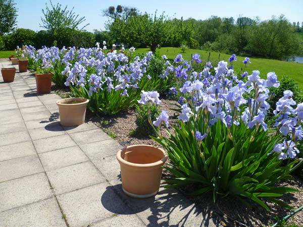 Photo of Others in Byford