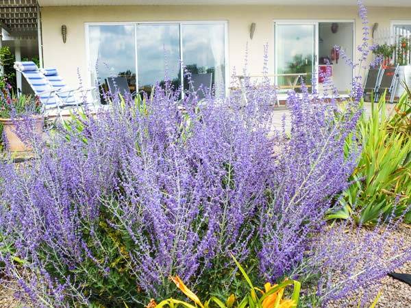 Photo of Others in Byford