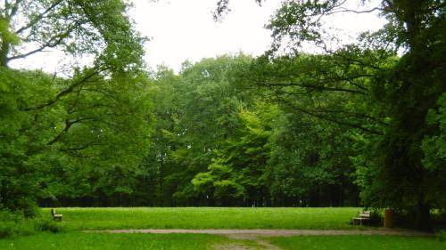 Photo of Others in Clamart