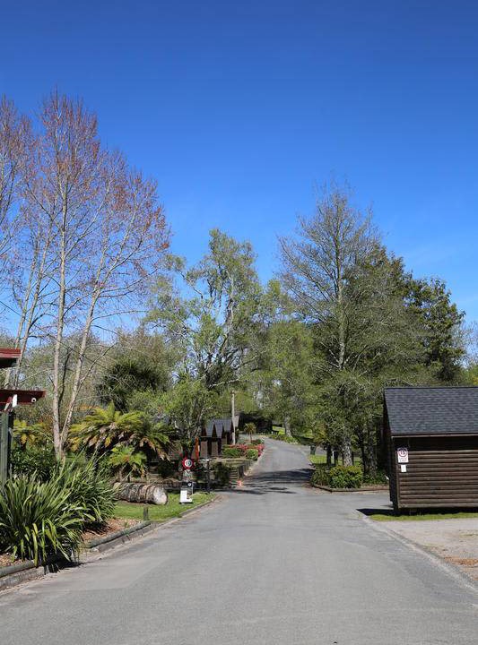 Photo of Others in Springfield