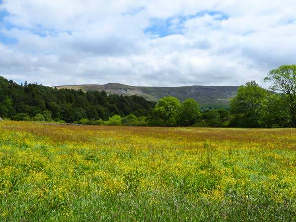 Photo of Others in Middleham
