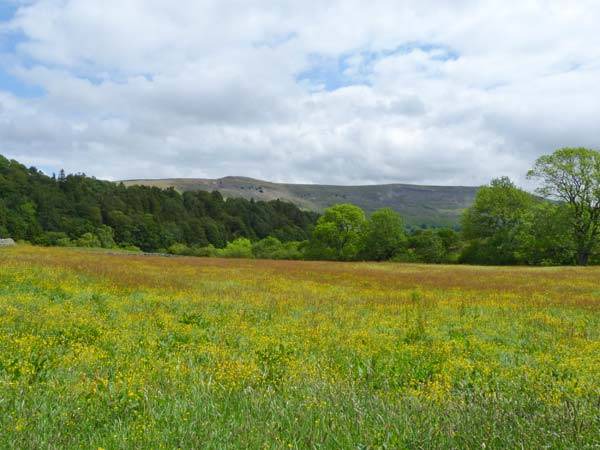 Photo of Others in Middleham