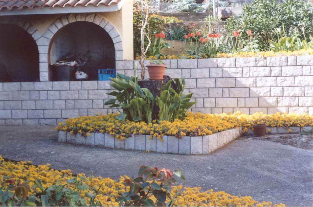 Photo of Others in Island Dugi Otok