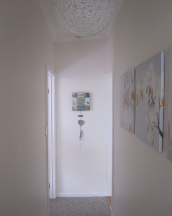 Photo of Others in Sandy Point