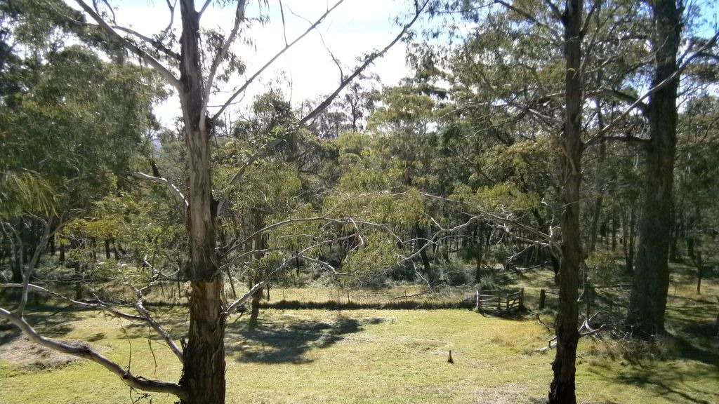 Photo of Outdoor in Mittagong