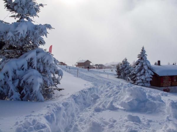 Photo of Others in Rosswald