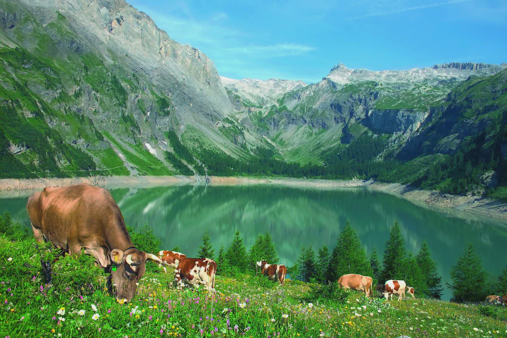 Photo of Others in Erschmatt