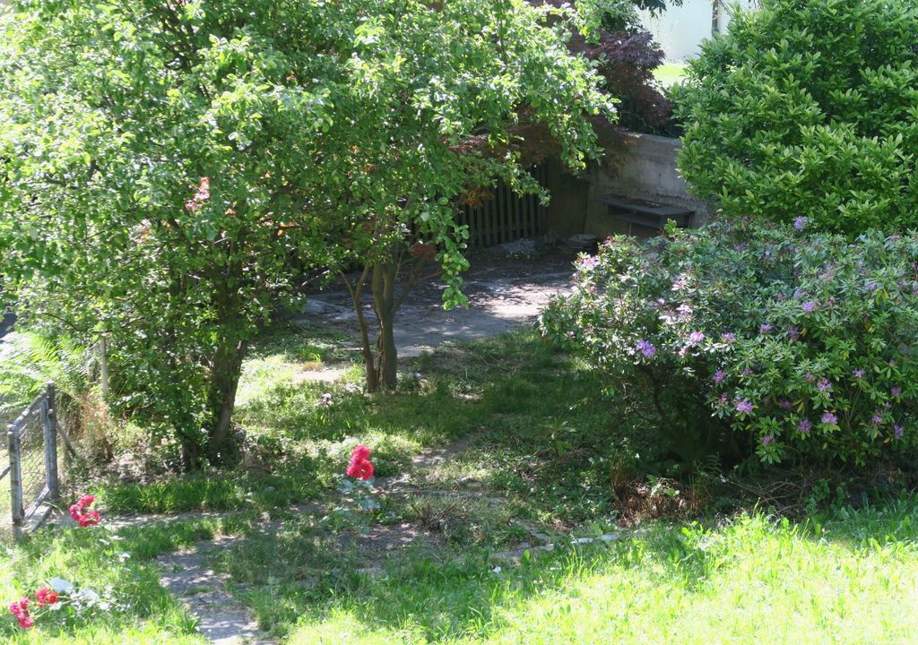 Photo of Outdoor in Alt-Wiedikon