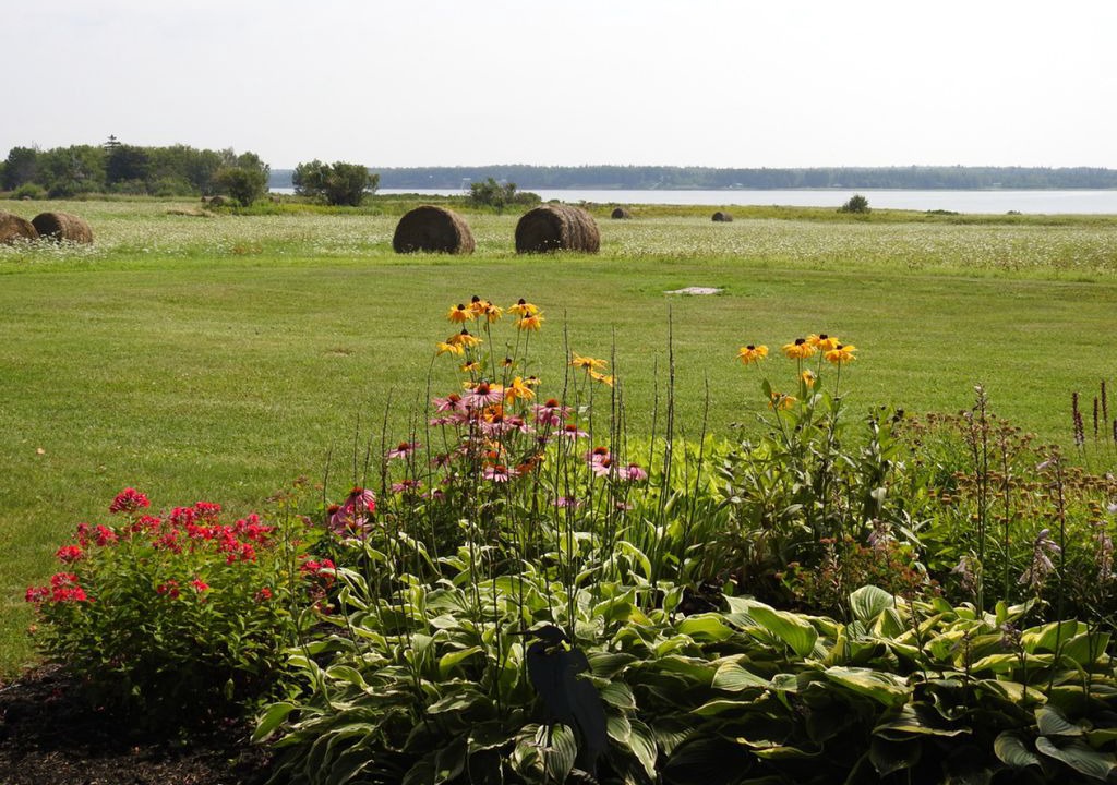 Photo of Outdoor in Brackley Beach