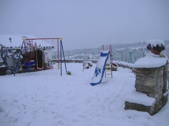 Photo of Others in Bellestar