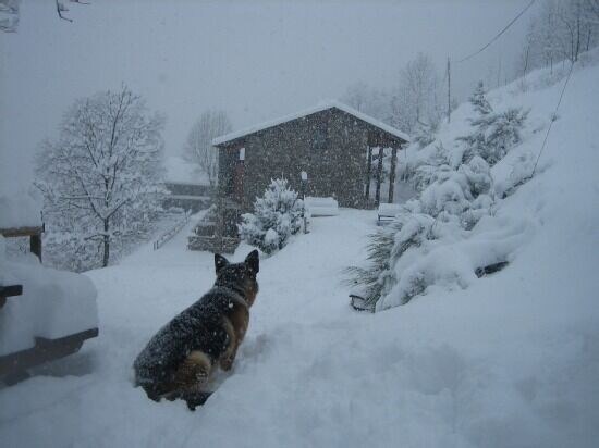 Photo of Others in Queralbs