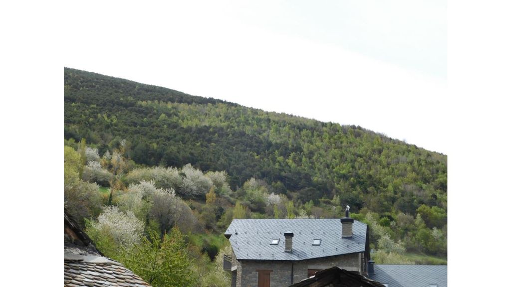 Photo of Others in Rialp
