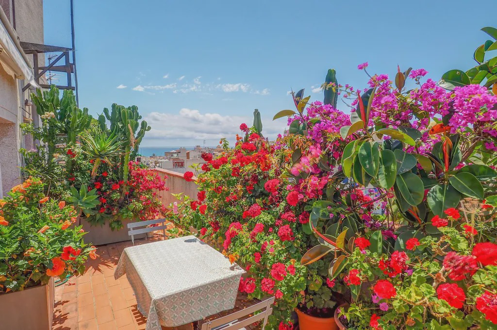 Photo of Others in Sitges