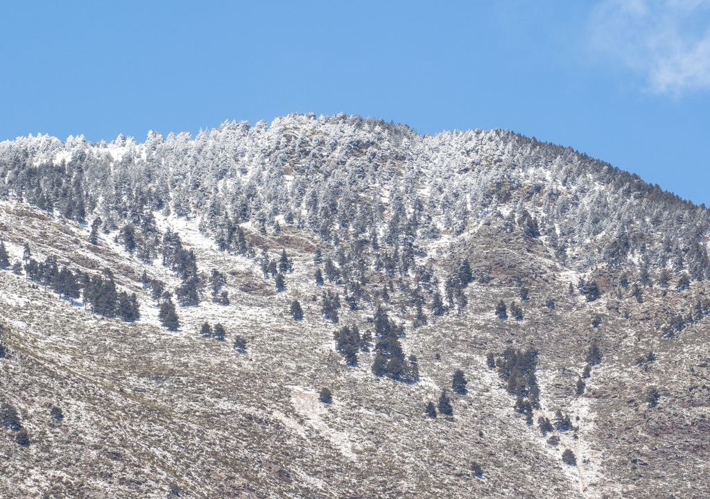 Photo of Buildings in Roni