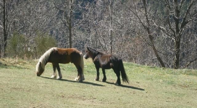 Photo of Human In Picture in Queralbs