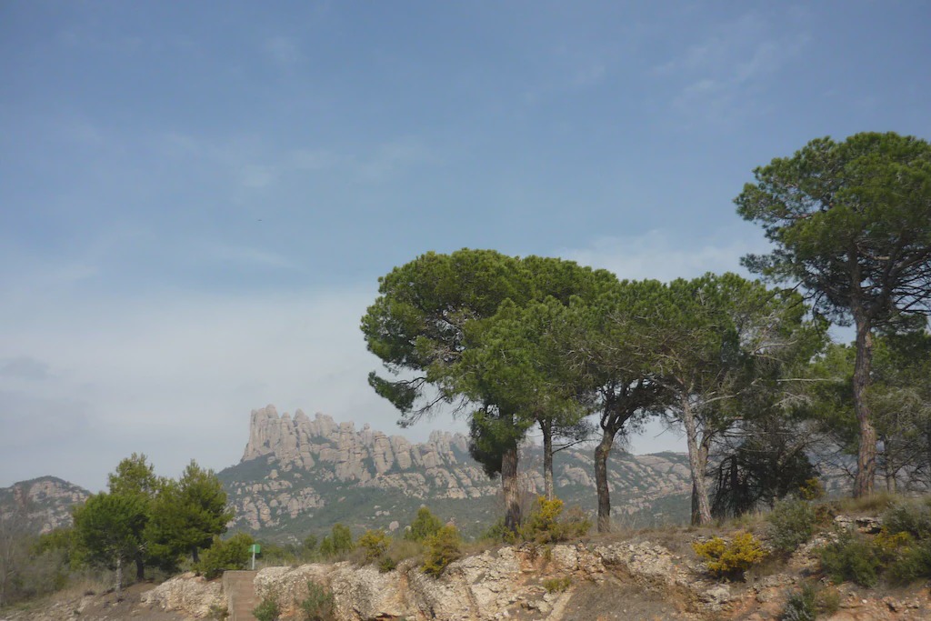 Photo of Outdoor in El Bruc