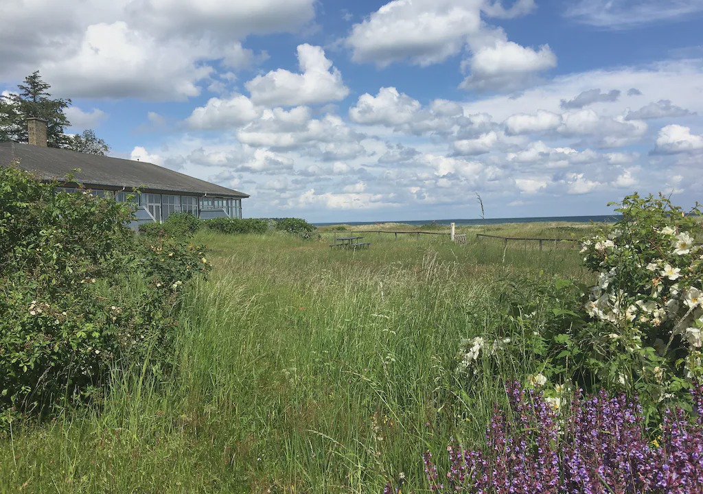 Photo of Others in Nyborg