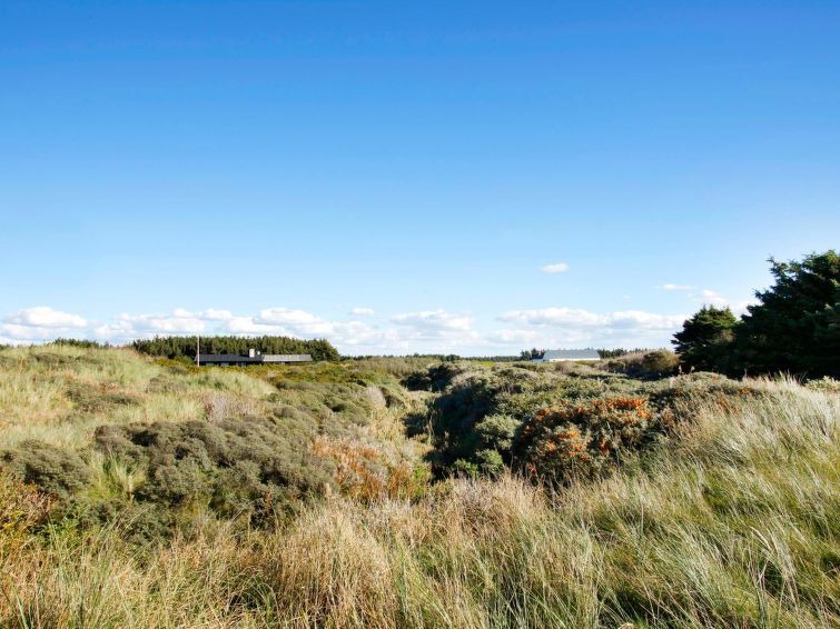 Photo of Outdoor in Hvorup Klit