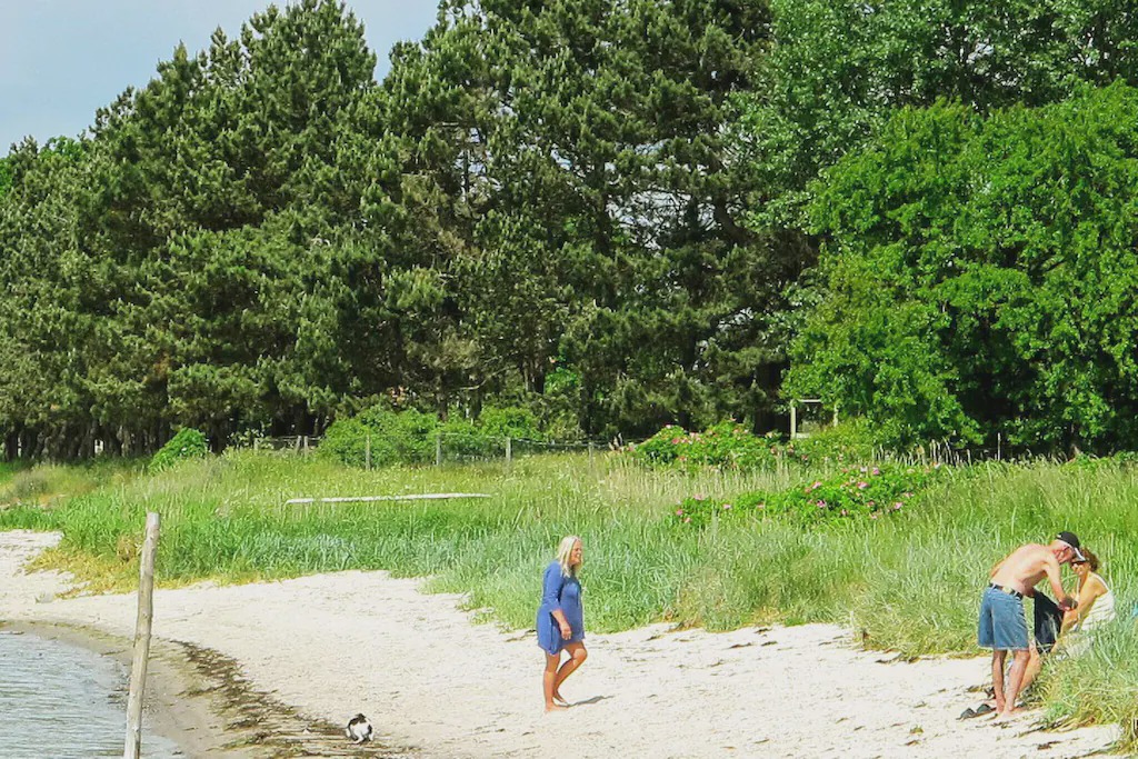 Photo of Others in Askeby